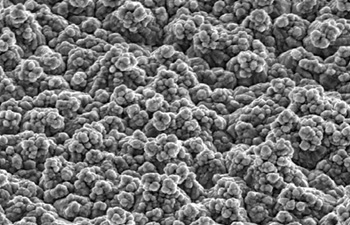 Copper surface under microscope